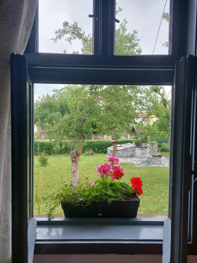 Velika Drenova Apartmani Petkovic 226 מראה חיצוני תמונה