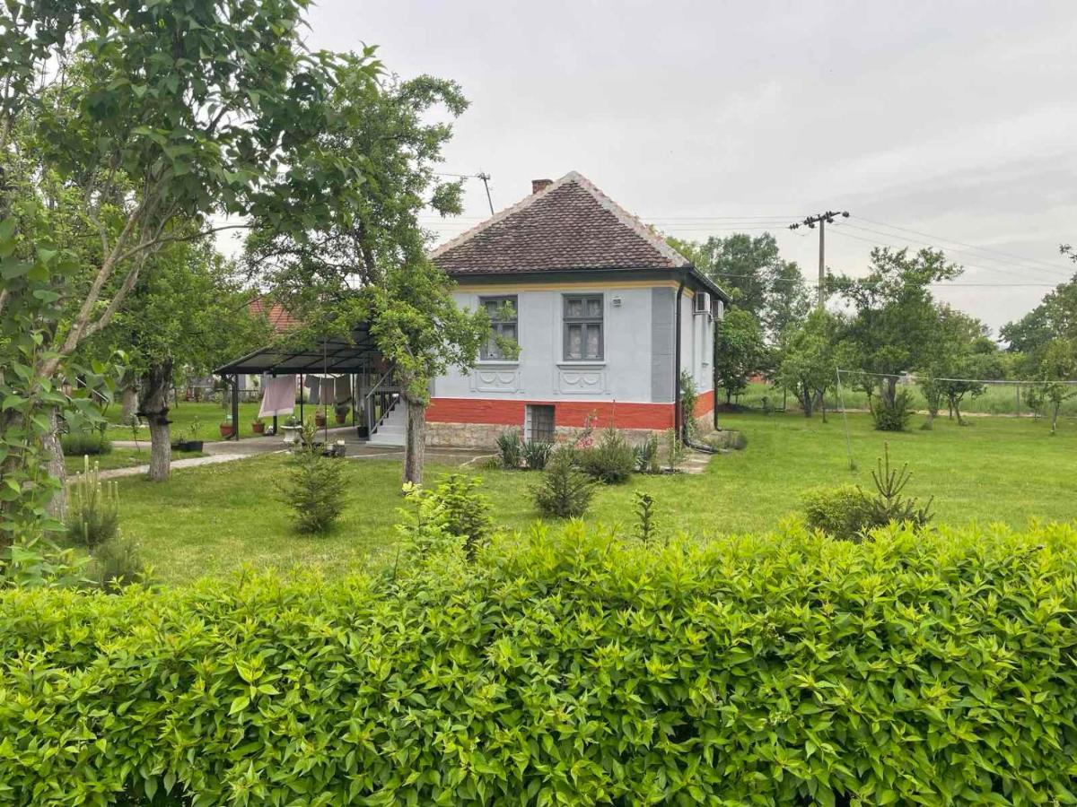 Velika Drenova Apartmani Petkovic 226 מראה חיצוני תמונה