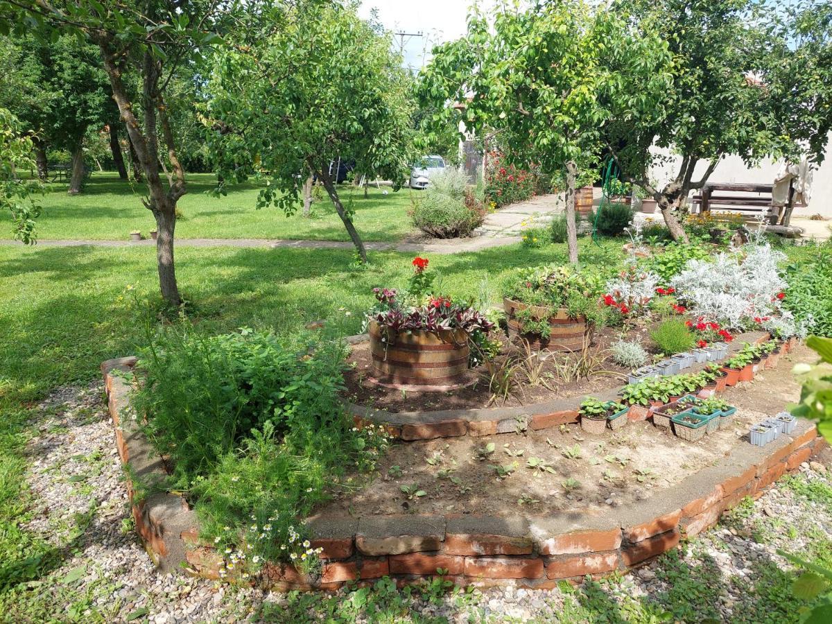 Velika Drenova Apartmani Petkovic 226 מראה חיצוני תמונה